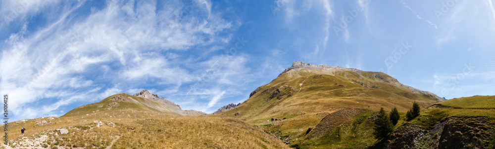 panorama of the Alpine region