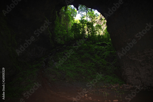 Jomblang cave, Java, Indonesia