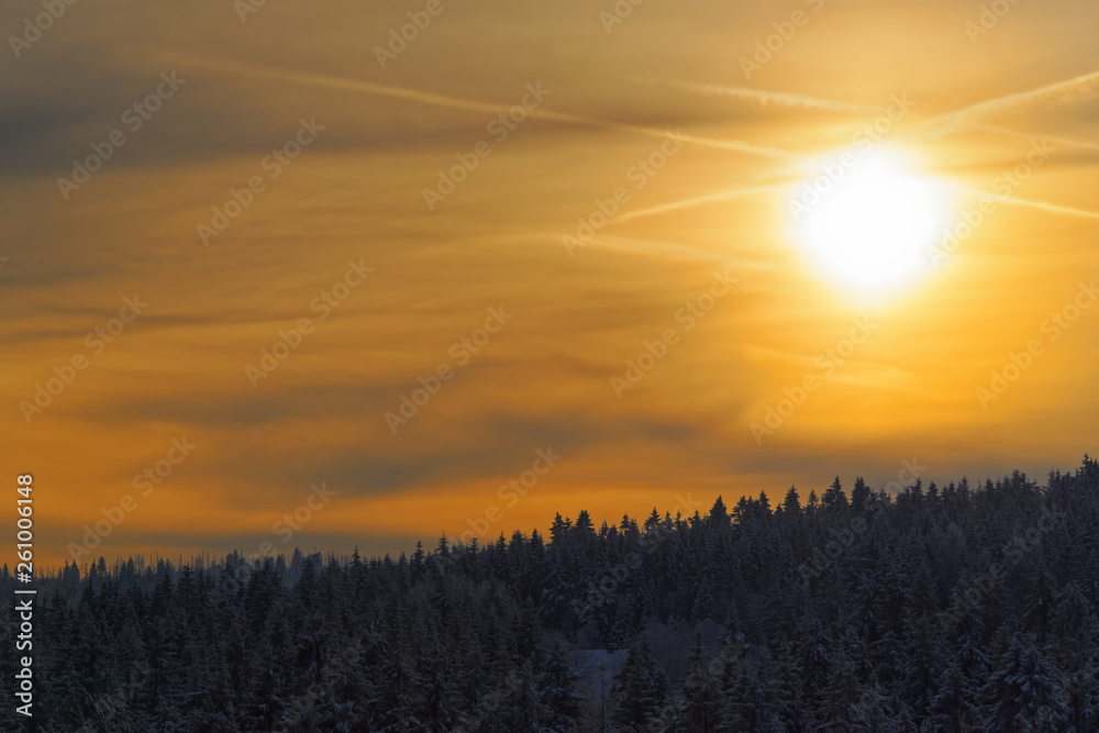 Amazing sunbeams in a golden sky above forest in a winter