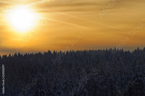 Amazing sunlight in a golden sky above forest in a winter