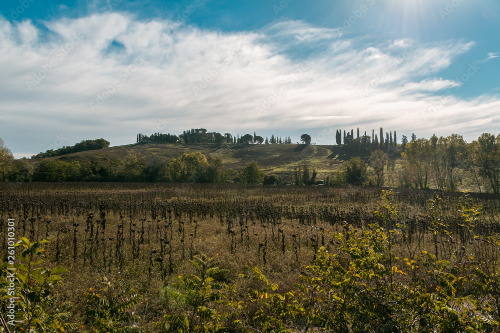 landscape in tuscany