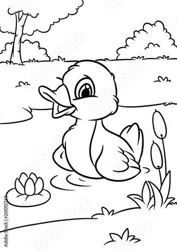 Little cheerful duckling animal character cartoon illustration nature pond swim coloring page