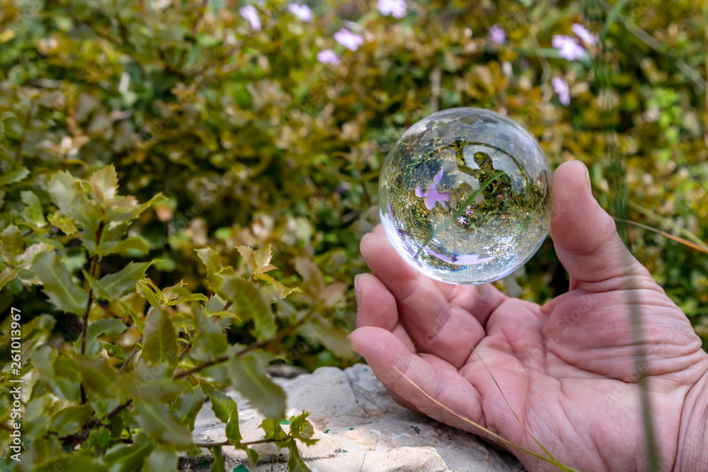 Man's hand holding a crystal ball with reflected flowers in it