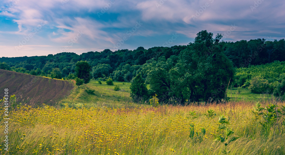 Fototapeta premium Fields landscape in summer sunset and sunrise