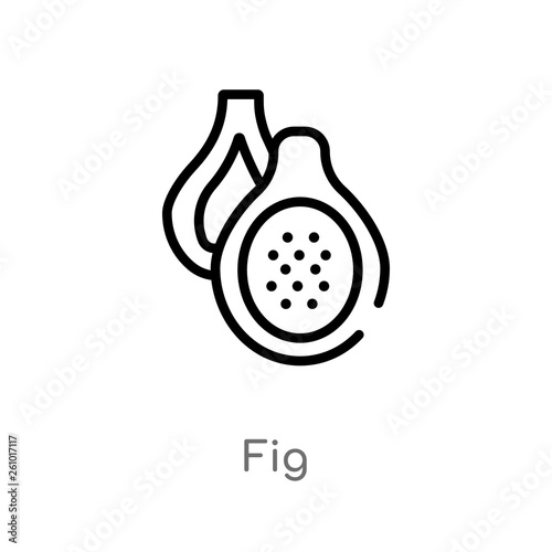 outline fig vector icon. isolated black simple line element illustration from summer concept. editable vector stroke fig icon on white background