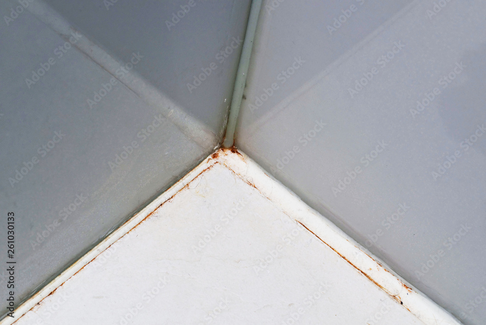 Mould in a white bathroom on the tiles and the silicon Mould in a white bathroom on the tiles and the silicon