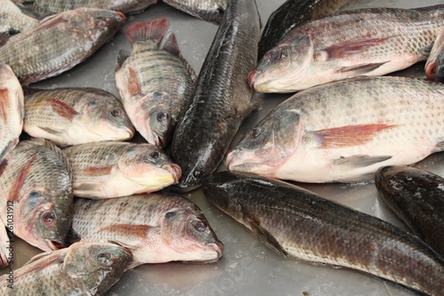 Fresh fish for cooking at street food