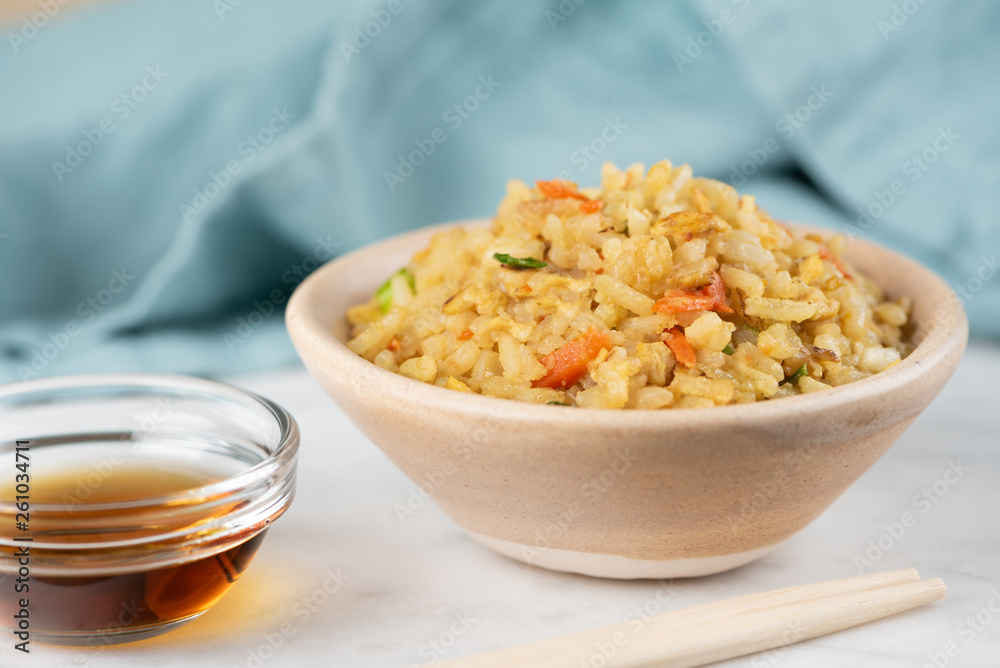 Fried Rice with vegetables and sauce on a plate \ in a bowl Fried Rice with vegetables and sauce on a plate \ in a bowl