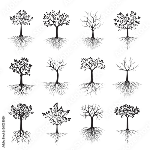 Black shape of Tree with Leaves and Roots. Vector Illustration.
