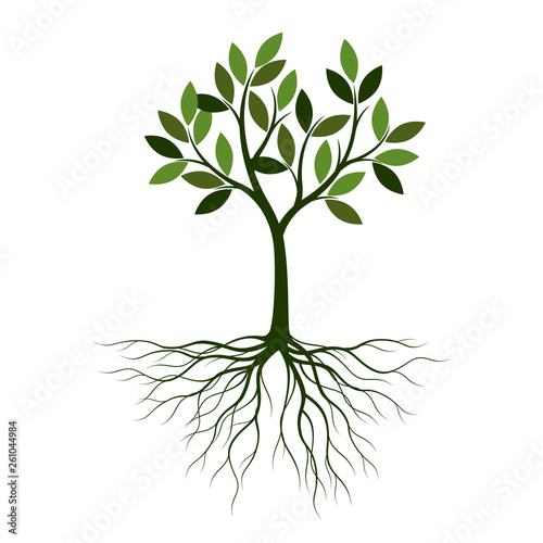Green summer Tree with Roots. Vector Illustration.