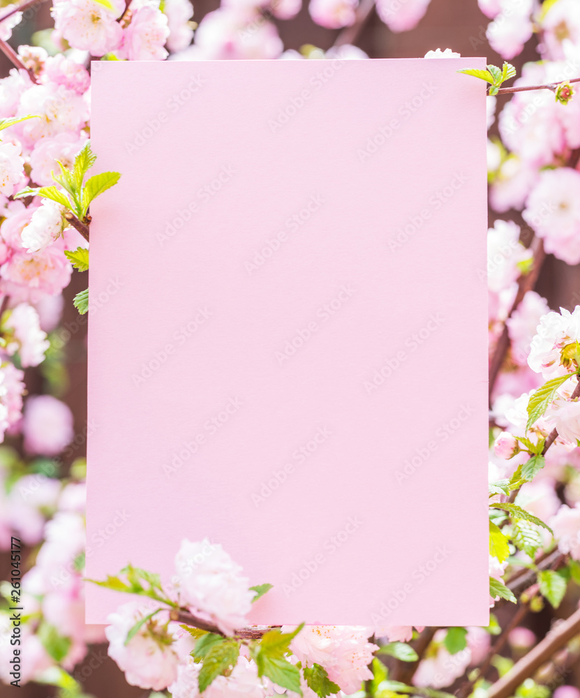 Obraz premium Paper blank between flowering almond branches in blossom. Pink flowers as a frame.