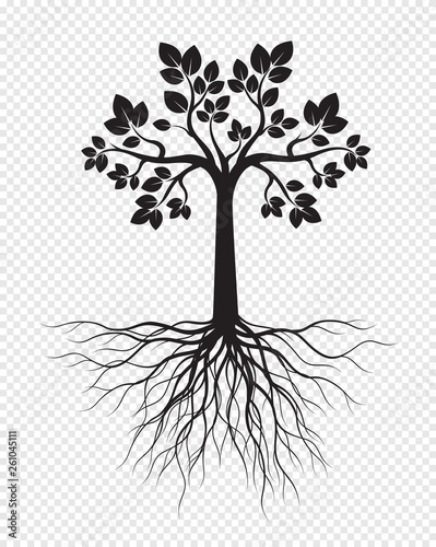 Black Tree with Roots on transparent background. Vector Illustration.