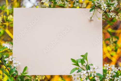 Paper blank between cherry branches in blossom.