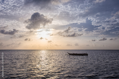 Boat of a fisherman on a tropical beach  Zanzibar  Tanzania