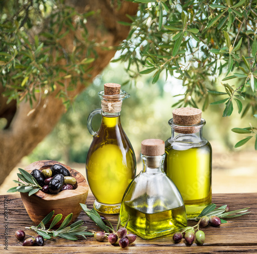 Obraz na plátně Olive oil and berries are on the wooden table under the olive tree