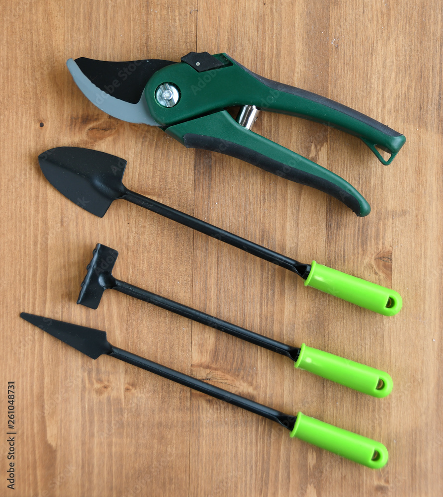 Garden tools and pruner on wooden boards on a sunny day. View from above Garden tools and pruner on wooden boards on a sunny day. View from above