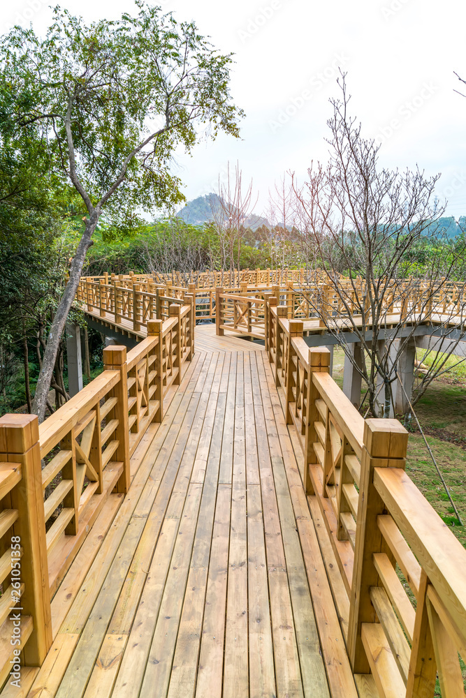 Wooden bridge and park background