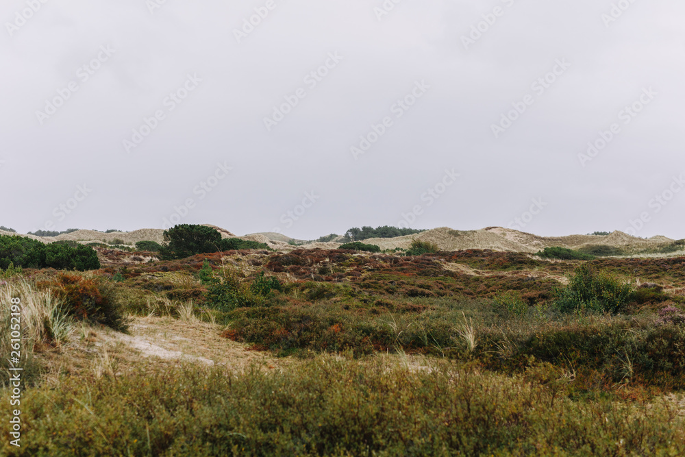 Amrum Dünen