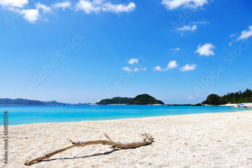 Fototapeta Naklejka Na Ścianę i Meble -  Tropical paradise of a branch on white sand, turquoise sea and deep blue sunny sky at Zamami, Okinawa, Japan