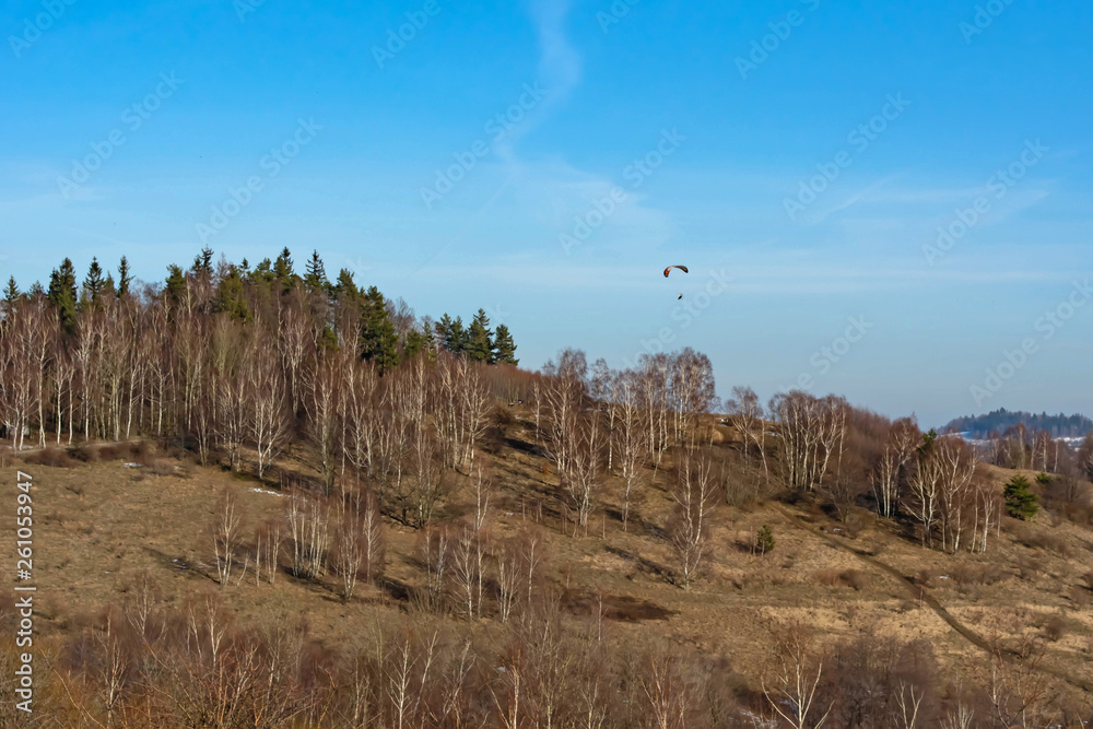 skydiver in the sky above the trees growing on the mountainside in early spring skydiver in the sky above the trees growing on the mountainside in early spring
