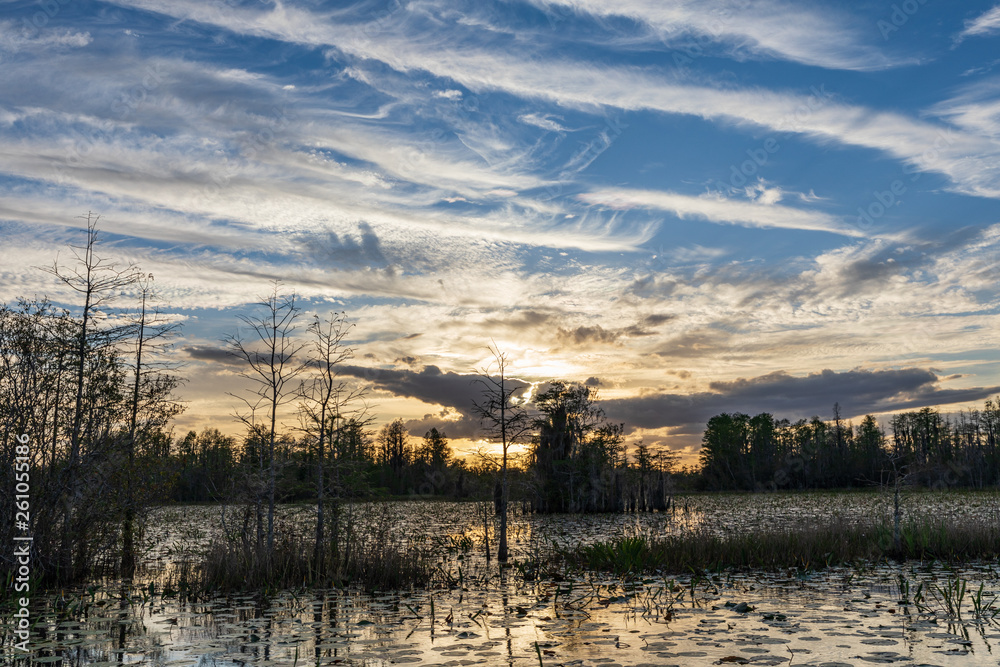 Okefenokee swamp sunset