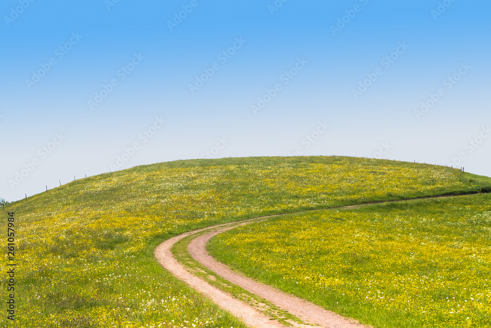 Obraz premium Landscape Collage Template