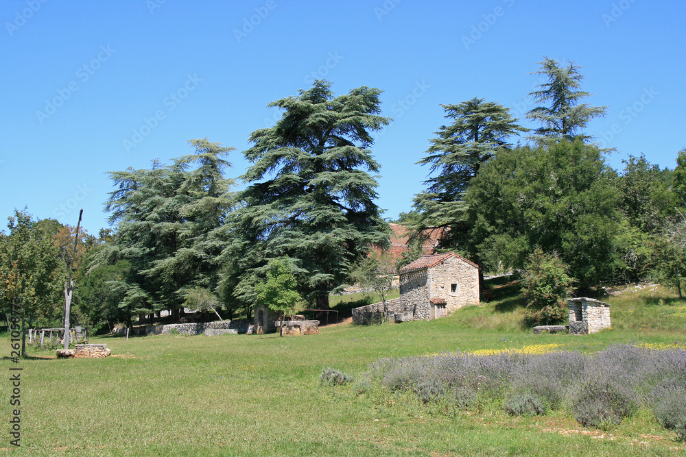 prairie with well in south of france prairie with well in south of france