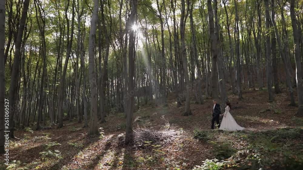 Groom with bride in the forest park. Wedding couple. Happy family