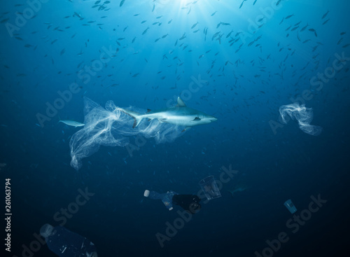 Photography Underwater global problem with plastic rubbish