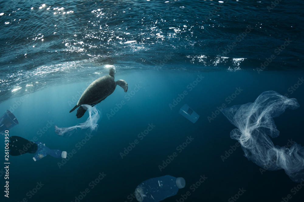 Naklejka premium Underwater global problem with plastic rubbish