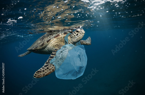 Fotografia Underwater global problem with plastic rubbish