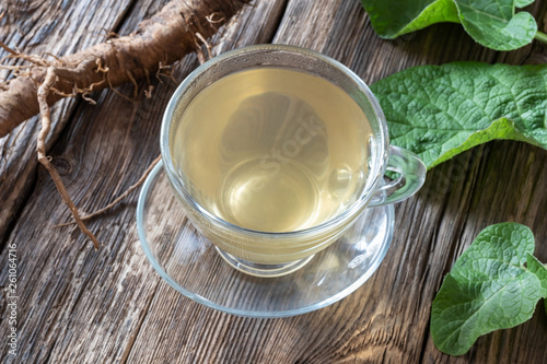 Burdock tea with fresh burdock root and leaves