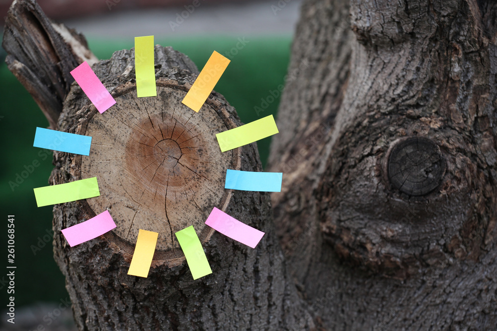 Fototapeta premium Forest tree stub paper stickers nobody 