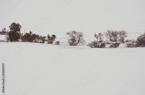 neve bianca