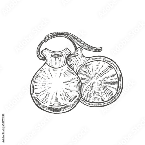 Castanets on White Background in Hand-Drawn Style
