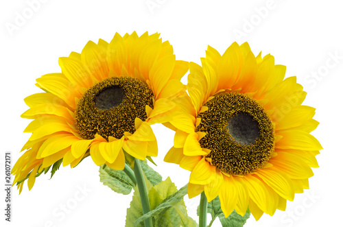 Fototapeta Naklejka Na Ścianę i Meble -  Two sunflower