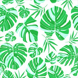 Tropical monstera leaves seamless pattern white background. Exotic floral wallpaper. Jungle plants - Vector