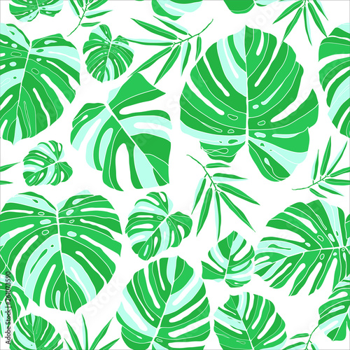 Tropical monstera leaves seamless pattern white background. Exotic floral wallpaper. Jungle plants - Vector