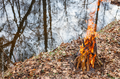 Bonfire on the bank of a forest river in the evening