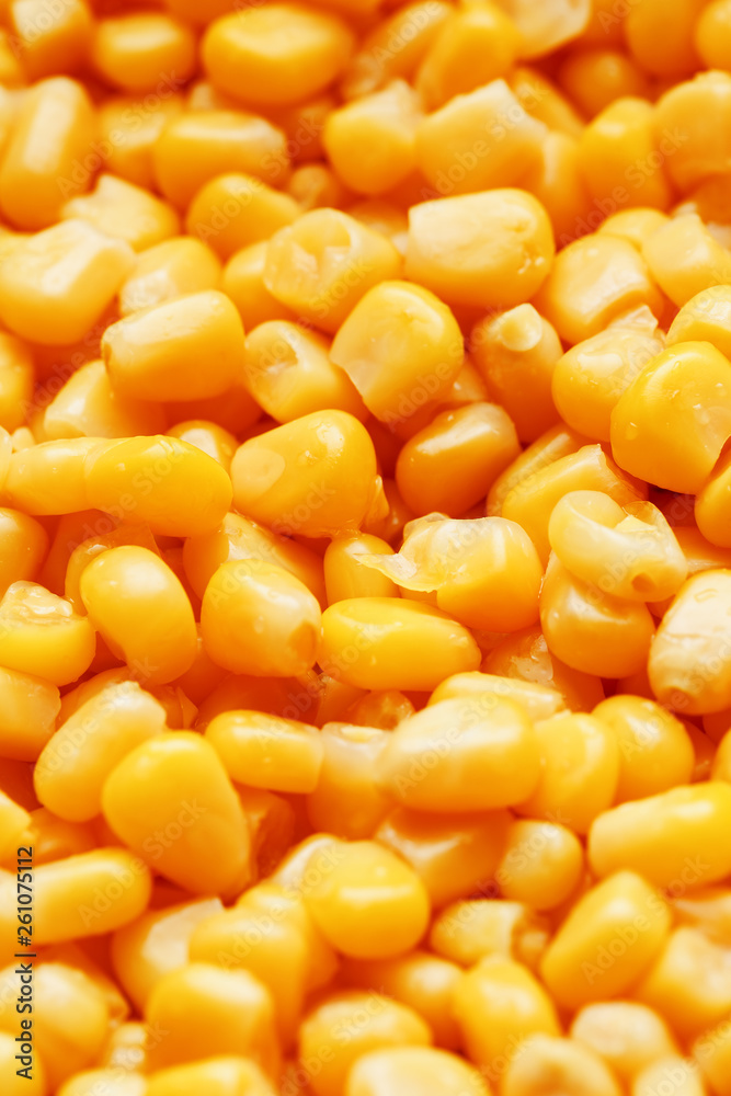 Golden canned corn, as distributed on a plane background and texture of popcorn. Before watching a movie top view. Close-up Golden canned corn, as distributed on a plane background and texture of popcorn. Before watching a movie top view. Close-up