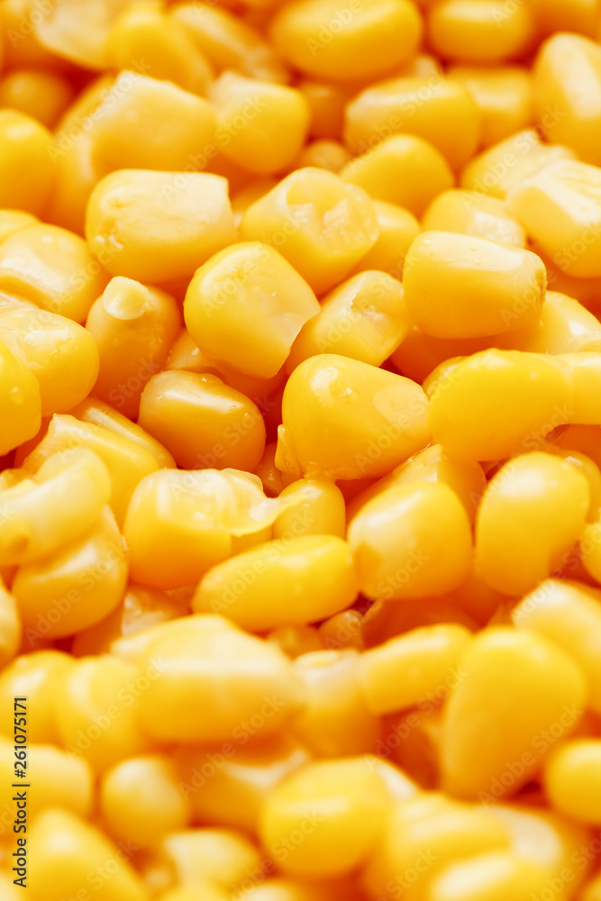 Golden canned corn, as distributed on a plane background and texture of popcorn. Before watching a movie top view. Close-up Golden canned corn, as distributed on a plane background and texture of popcorn. Before watching a movie top view. Close-up