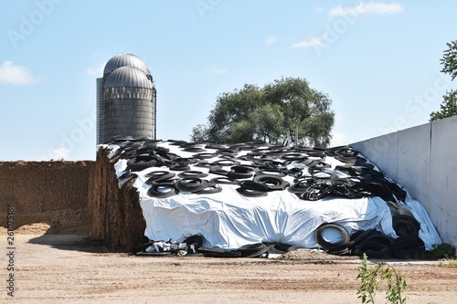 Tires over Silage photo