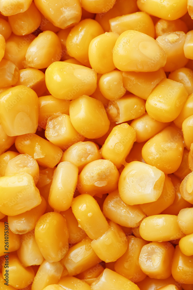 Golden canned corn, as distributed on a plane background and texture of popcorn. Before watching a movie top view. Close-up Golden canned corn, as distributed on a plane background and texture of popcorn. Before watching a movie top view. Close-up