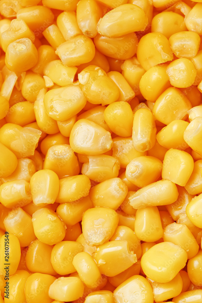 Golden canned corn, as distributed on a plane background and texture of popcorn. Before watching a movie top view. Close-up Golden canned corn, as distributed on a plane background and texture of popcorn. Before watching a movie top view. Close-up