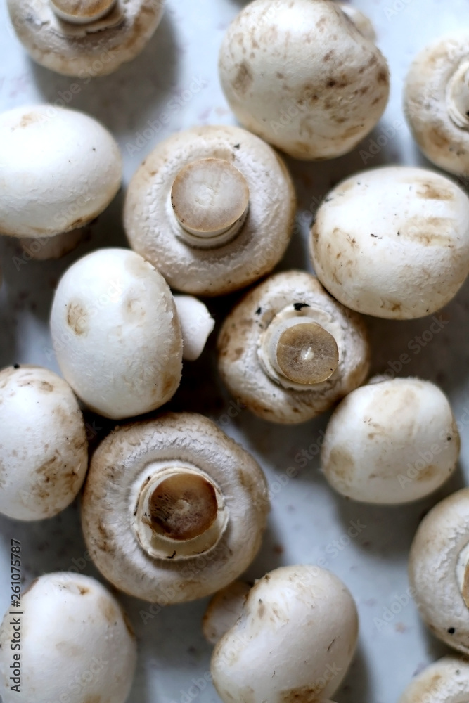 Champignon mushrooms on marble background. Top view, selective focus. Champignon mushrooms on marble background. Top view, selective focus.