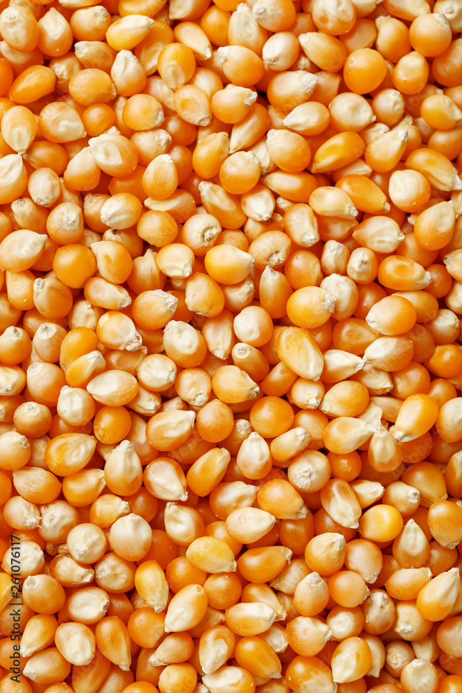 Golden corn seeds, background and texture of popcorn. Before watching a movie top view. Close-up Golden corn seeds, background and texture of popcorn. Before watching a movie top view. Close-up
