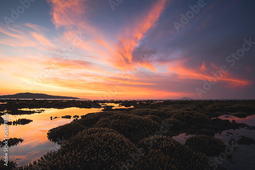 Stunning view of Reef as a Foreground and Background of Colourful Sunrise during Low Tide on the Beach in Phuket - THAILAND