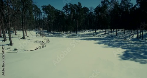 Wallpaper Mural Aerial Pine Trees Forest In Sunny Winter Day.Drone Aerial Flying Above Winter Snow Covered Pine Forest.Low Flight Over A River And Pine.Aerial Drone Of Frosted Pine Trees Winter Snow On Forest.        Torontodigital.ca