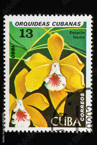 CUBA - CIRCA 1980: Stamp printed in Cuba shows Encyclia fucata, Orchids serie, circa 1980
