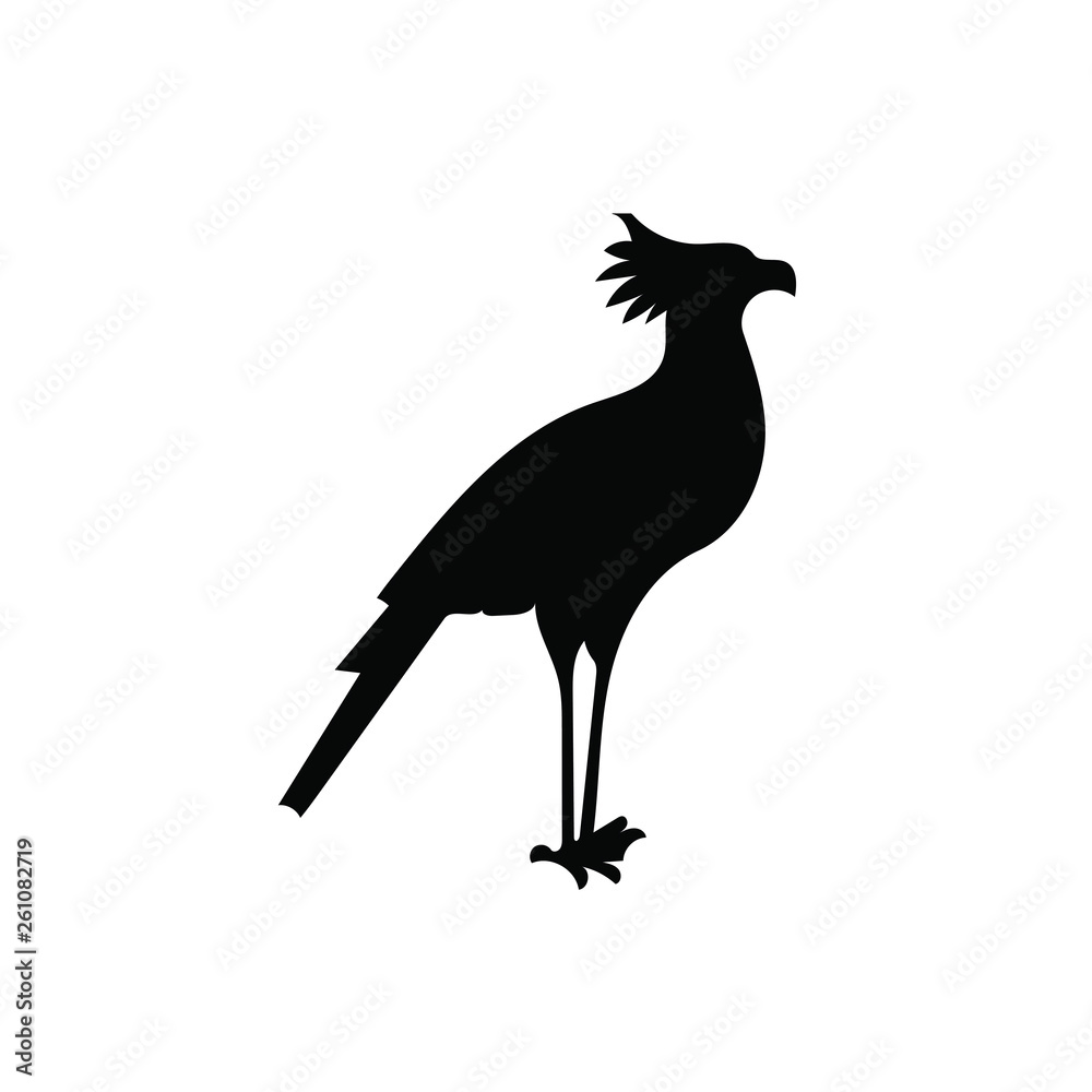 Fototapeta premium Bird